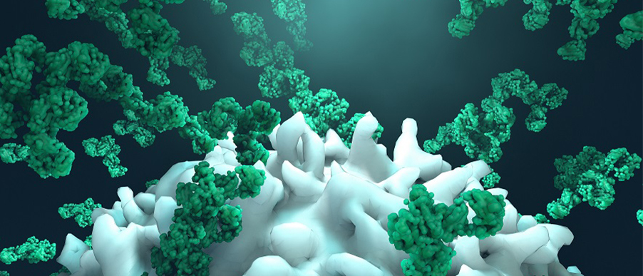 Structural-Mechanistic Enzymology