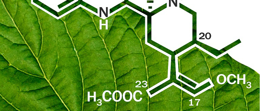 alkaloids_B