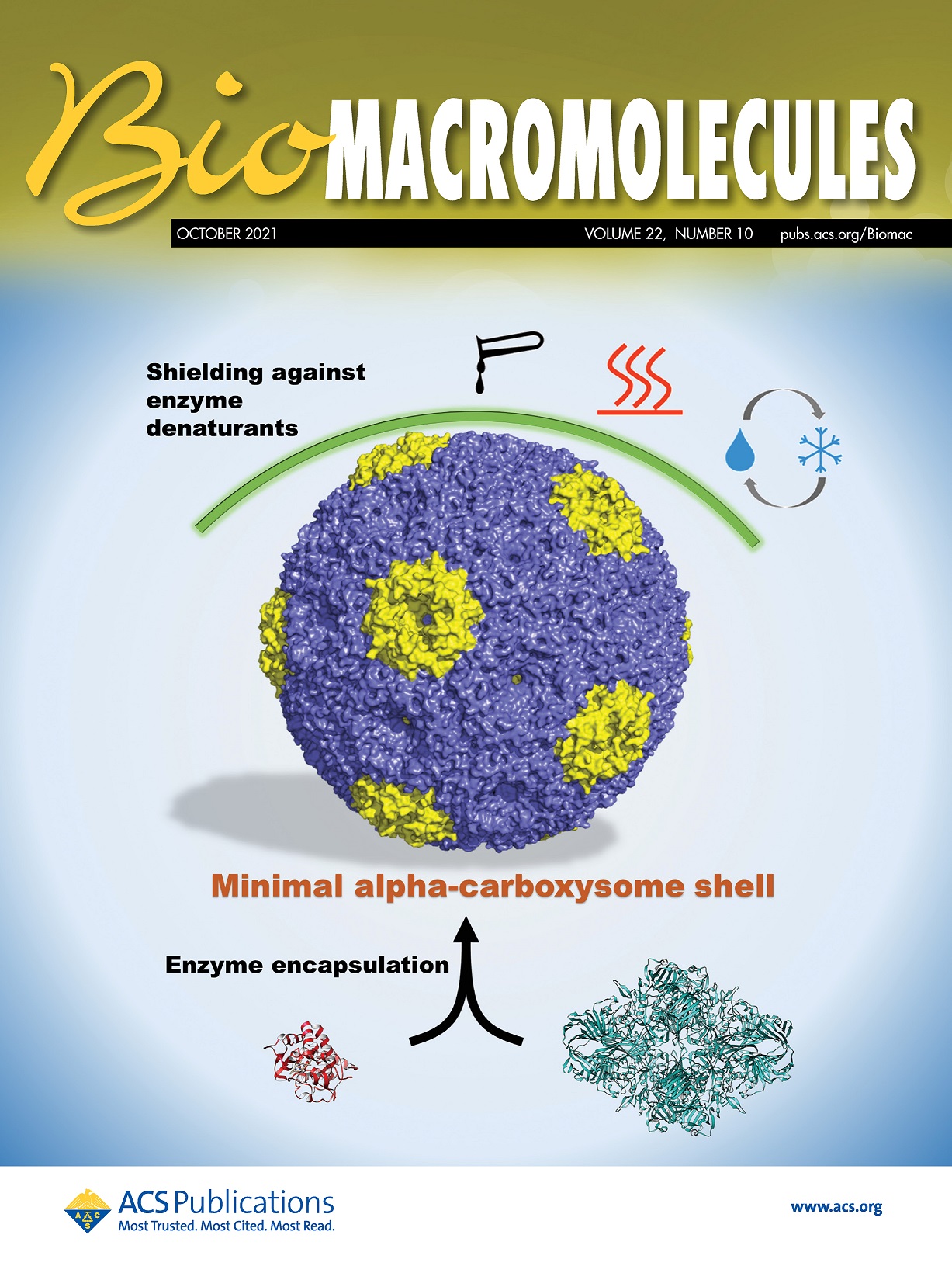 Biomacromolecules Cover